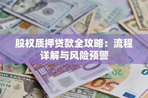 北京股权质押贷款全攻略：流程详解与风险预警