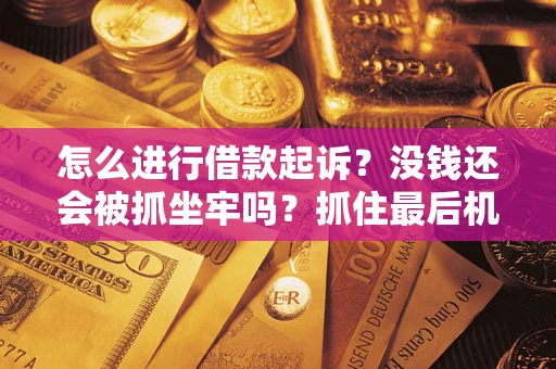 北京怎么进行借款起诉？没钱还会被抓坐牢吗？抓住最后机会！