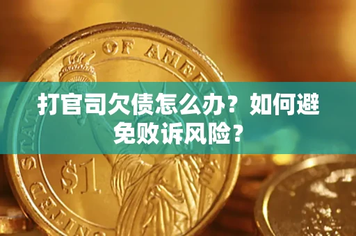 北京打官司欠债怎么办？如何避免败诉风险？