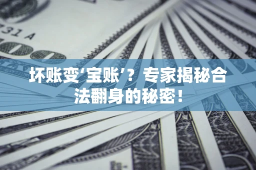 北京坏账变‘宝账’？专家揭秘合法翻身的秘密！