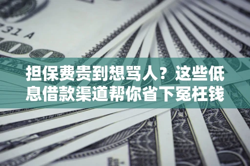 北京担保费贵到想骂人？这些低息借款渠道帮你省下冤枉钱